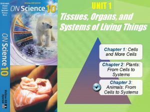 UNIT 1 Tissues Organs and Systems of Living