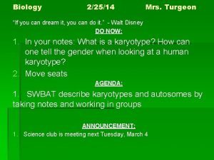 Biology 22514 Mrs Turgeon If you can dream