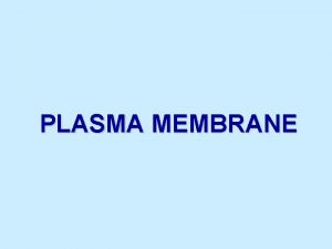 PLASMA MEMBRANE Plasma Membrane Boundary that separates the