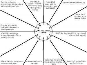 Describe an isotonic concentric contraction along with a