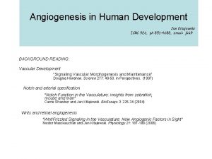 Angiogenesis in Human Development Jan Kitajewski ICRC 926