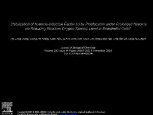 Stabilization of Hypoxiainducible Factor1 by Prostacyclin under Prolonged