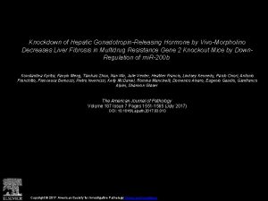 Knockdown of Hepatic GonadotropinReleasing Hormone by VivoMorpholino Decreases