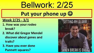 Bellwork 225 Put your phone up Week 225