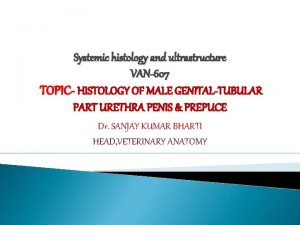 Systemic histology and ultrastructure VAN607 TOPIC HISTOLOGY OF