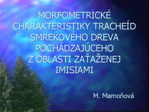 MORFOMETRICK CHARAKTERISTIKY TRACHED SMREKOVHO DREVA POCHDZAJCEHO Z OBLASTI