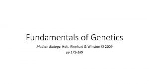 Fundamentals of Genetics Modern Biology Holt Rinehart Winston