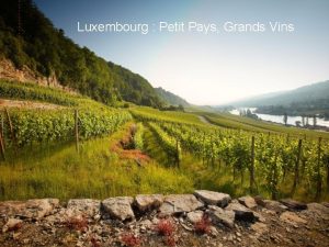 Luxembourg Petit Pays Grands Vins Luxembourg Facts Entreprise