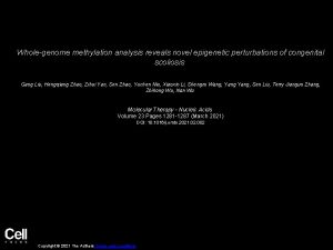 Wholegenome methylation analysis reveals novel epigenetic perturbations of