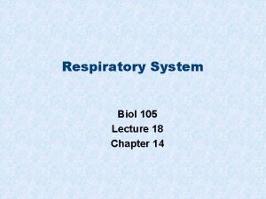 Respiratory System Biol 105 Lecture 18 Chapter 14