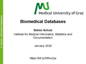 S Schulz Biomedical Databases Stefan Schulz Institute for S Schulz Biomedical Databases Stefan Schulz Institute for