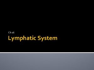Ch 16 Lymphatic System Structures Lymphatic vessels Lymphocytes