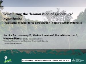 Scrutinizing the feminization of agriculture hypothesis Trajectories of