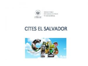 CITES EL SALVADOR QU ES CITES La CITES