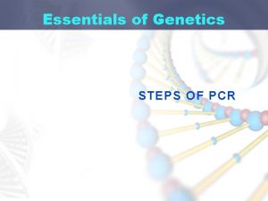 Essentials of Genetics STEPS OF PCR Steps of
