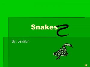 Snakes By Jeidilyn Snake Habitat Snakes can live