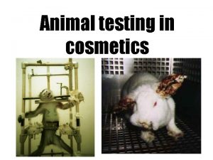 Animal testing in cosmetics Why do we test