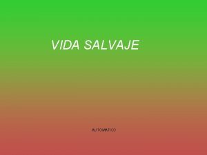 VIDA SALVAJE AUTOMATICO Quienes no saben llorar con