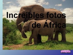 Increbles fotos de frica Lo primero que le