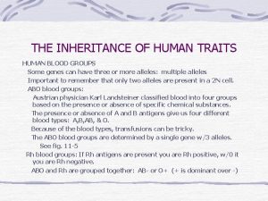 THE INHERITANCE OF HUMAN TRAITS HUMAN BLOOD GROUPS