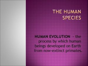 HUMAN EVOLUTION the process by which human beings