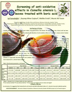 Screening of antioxidative effects in Camellia sinensis L