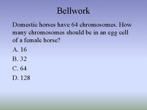 Bellwork Domestic horses have 64 chromosomes How many