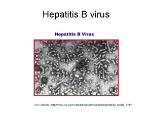 Hepatitis B virus CDC website http www cdc