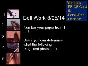 1 2 3 4 5 Bell Work 82514