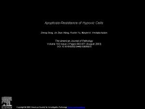 ApoptosisResistance of Hypoxic Cells Zheng Dong Jin Zhao