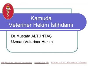 Kamuda Veteriner Hekim stihdam Dr Mustafa ALTUNTA Uzman