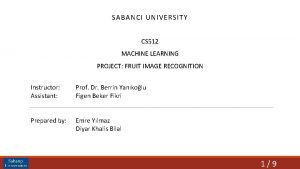 SABANCI UNIVERSITY CS 512 MACHINE LEARNING PROJECT FRUIT