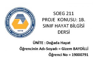 SOEG 211 PROJE KONUSU 1 B SINIF HAYAT