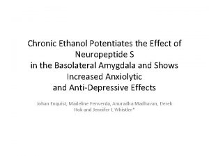 Chronic Ethanol Potentiates the Effect of Neuropeptide S