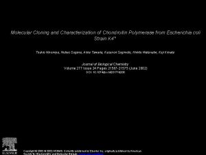Molecular Cloning and Characterization of Chondroitin Polymerase from