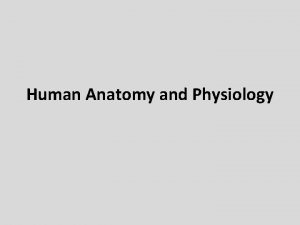 Human Anatomy and Physiology 1 Anatomy study of