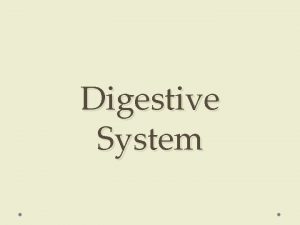 Digestive System Types of Digestion 1 CHEMICAL DIGESTION