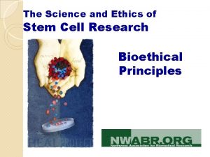 The Science and Ethics of Stem Cell Research