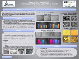 Spider Silk For Future Scaffolds Heidi Bringhurst R