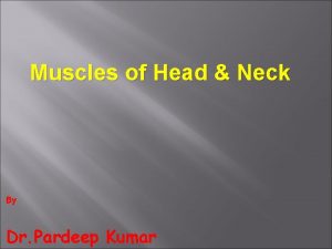 Muscles of Head Neck By Dr Pardeep Kumar