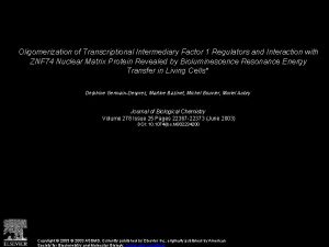 Oligomerization of Transcriptional Intermediary Factor 1 Regulators and