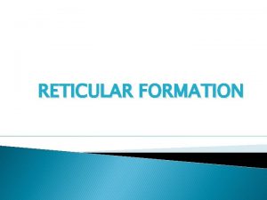 RETICULAR FORMATION THE RETICULAR FORMATION RF is formed