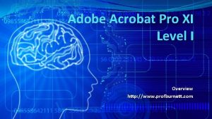 Adobe Acrobat Pro XI Level I Overview http