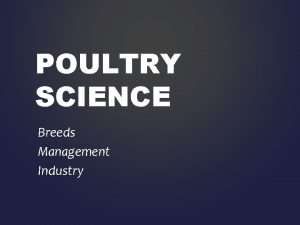 POULTRY SCIENCE Breeds Management Industry WHAT IS POULTRY