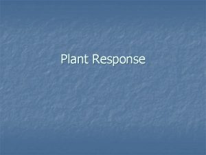Plant Response I Hormones n A Chemical signals