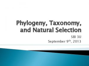 Phylogeny Taxonomy and Natural Selection SBI 3 U
