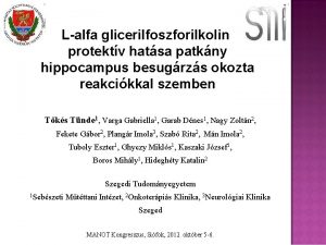 Lalfa glicerilfoszforilkolin protektv hatsa patkny hippocampus besugrzs okozta