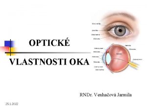 OPTICK VLASTNOSTI OKA RNDr Venhaov Jarmila 25 1