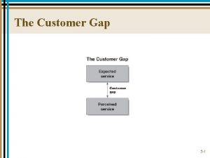 The Customer Gap 5 1 The Customer Gap