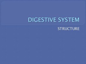 DIGESTIVE SYSTEM STRUCTURE ALIMENTARY CANAL Digestive tract or